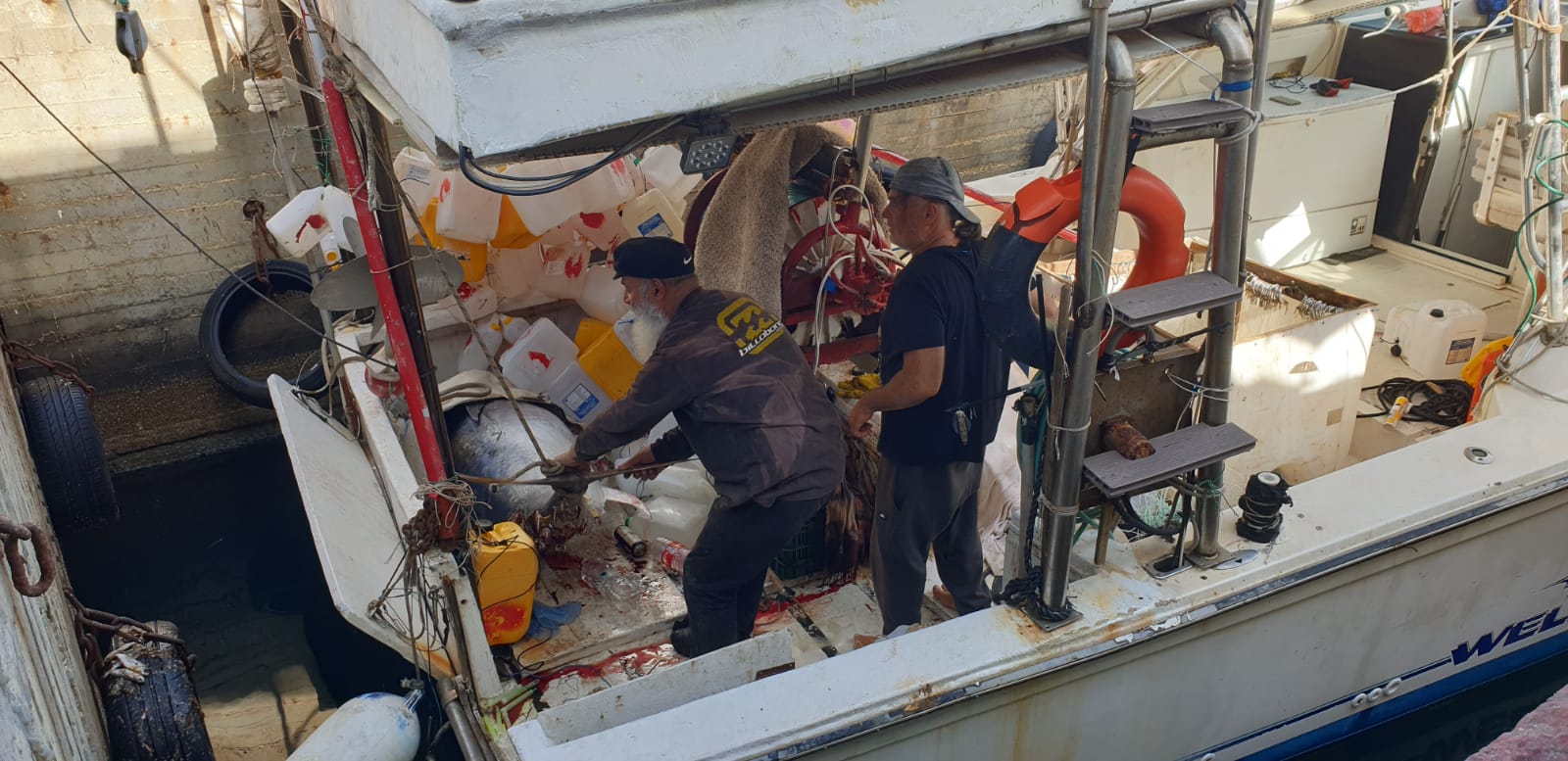 WhatsApp Image 2020-05-13 at 9.01.58 AM.jpeg.jpeg